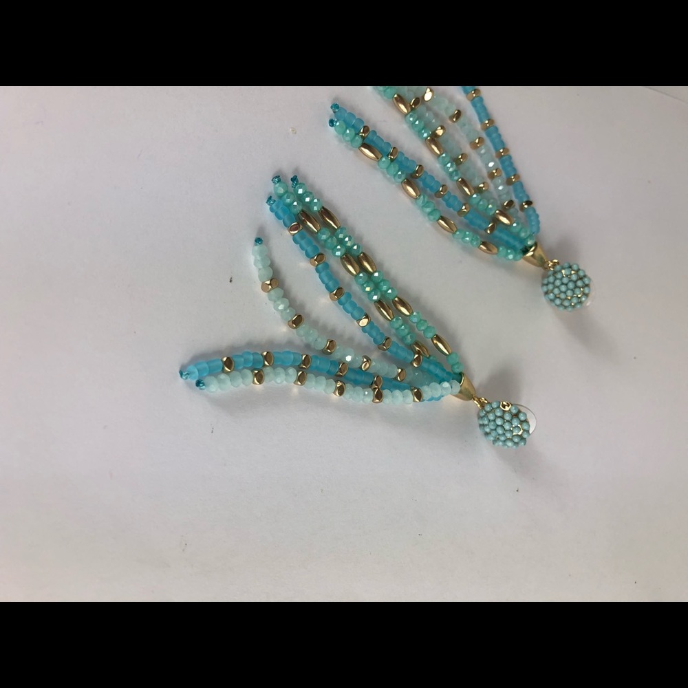 Beaded Tassel Drop Earrings. - Picture 3 of 3